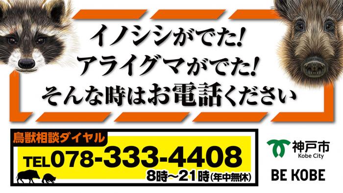 鳥獣相談ダイヤル078-333-4408年中無休8時から21時まで