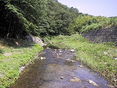 淡河川の写真