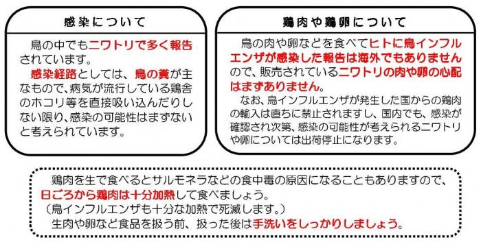 感染、鶏肉や鶏卵について