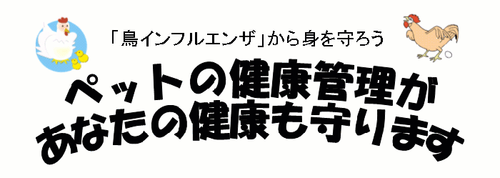 ペットの健康管理があなたの健康も守ります