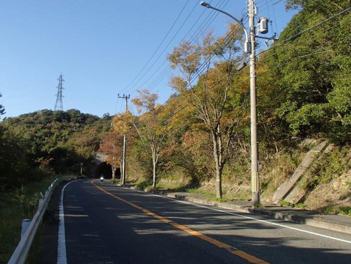 車道から見た実施前の写真