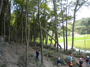 淡河町勝雄伐採現場