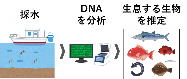 環境DNAイメージ図